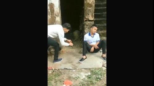 农村爆料搞笑视频大全,农村爆料搞笑视频大盘点 第2张 农村爆料搞笑视频大全,农村爆料搞笑视频大盘点 第2张